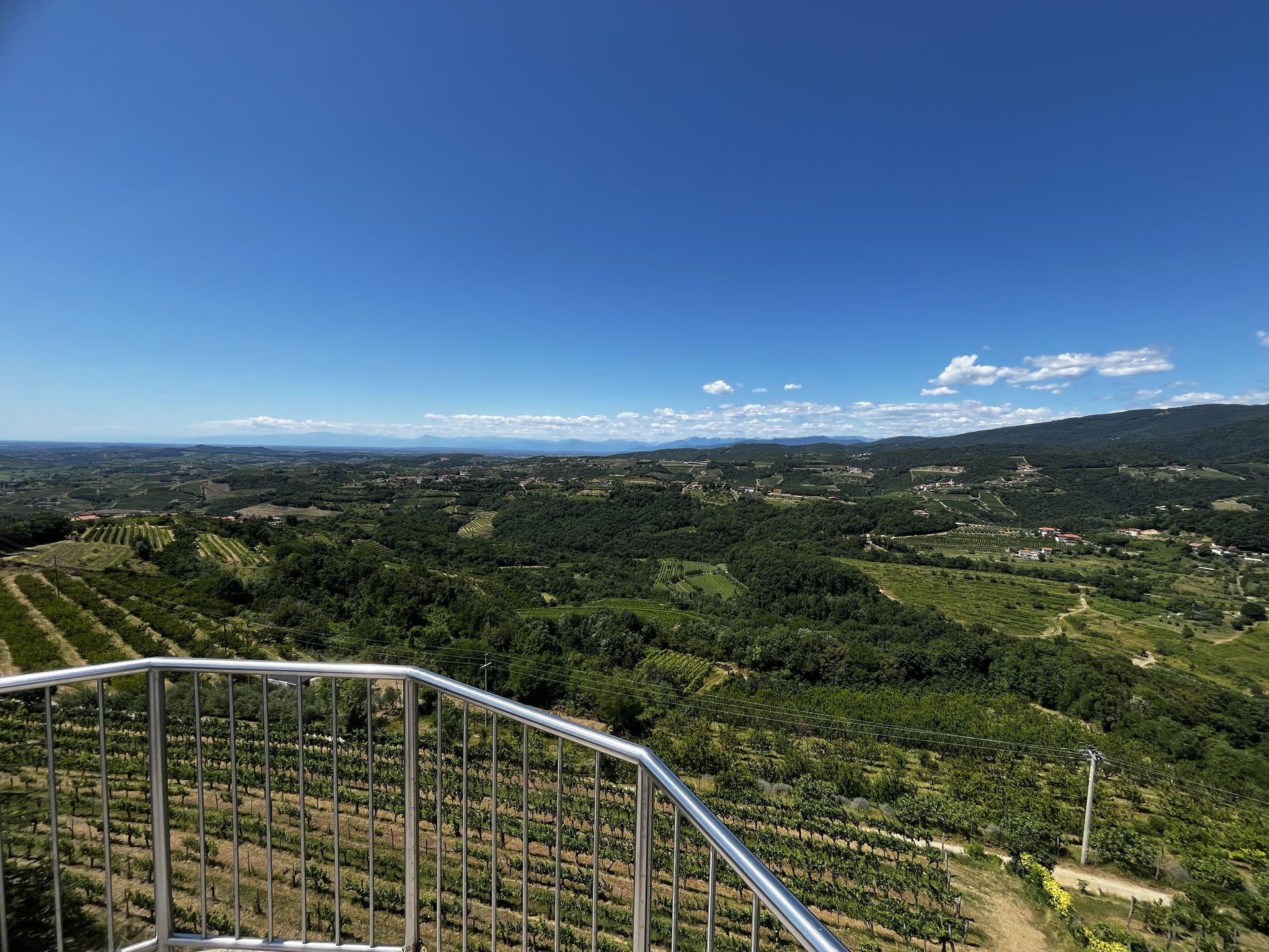 View of rolling hills and vines from Gonjače viewing tower in Goriška Brda